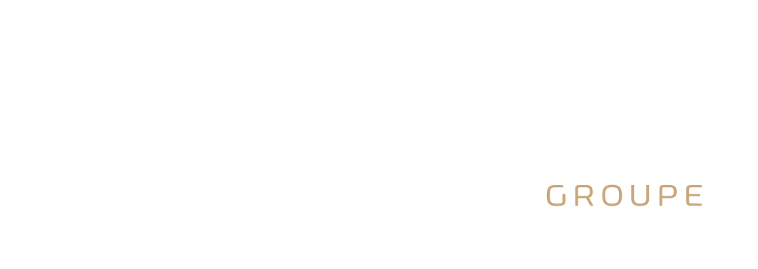 Ovision : Le groupe qui déchire